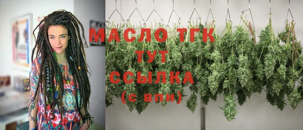 дмт Алексин
