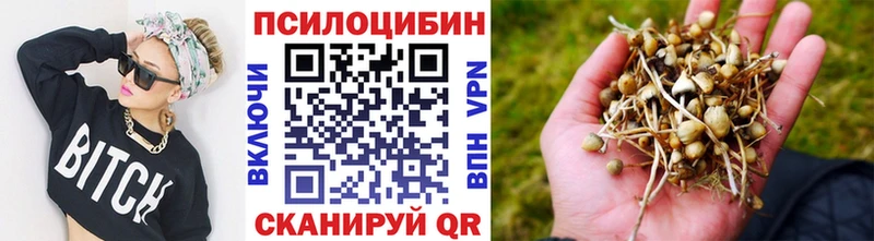 Псилоцибиновые грибы Cubensis  Люберцы 